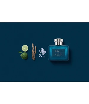 Baldessarini Uomo Mare - EdT 90 ml