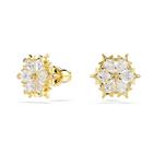 Swarovski Magic Stud korvakorut 5757816