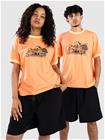 Nike Roadside Rinter T-paita orange frost / tngrn tint