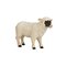 Mojo Farmland Black Head Sheep Ewe – kuva 1