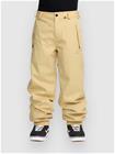 Volcom Arthur 20K Housut fern Miehet