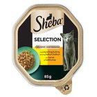 Sheba Selection 85 g kanaa/kalkkunaa kastikkeessa kissanruoka