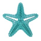 TIAKI Starfish -koiranlelu 15x15x5cm