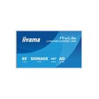 Iiyama LH6581UHSG-1AG (65"), näyttö