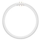Osram LEDVANCE LED-rør T5 Performance FC external 55mm 2
