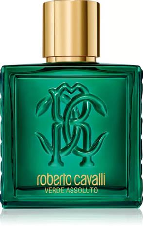 Roberto Cavalli Verde Assoluto Uomo 100 ml Miesten