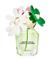 Marc Jacobs Daisy Wild Eau de Parfum 30 ml – kuva 8
