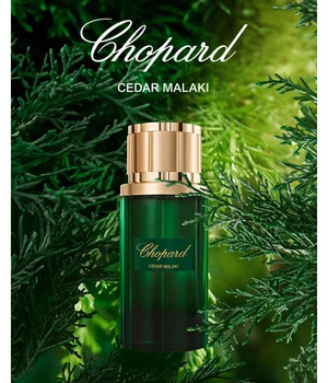 Chopard Malaki Cedar - EdP 80 ml