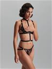 Bluebella Sana Harness - Black - 36
