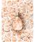 Bugatti Felicitä Apricot for Her - EdP 60 ml – kuva 7