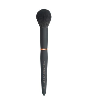 YoungBlood Luxe YB5 Cheek Highlighter-sivellin 1 kpl