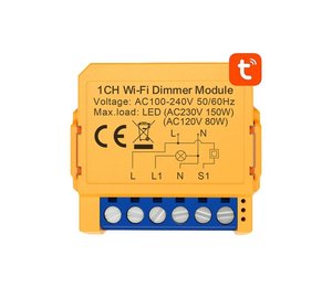 Avatto Smart socket switch WiFi DMS16-2 TUYA