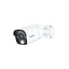 REOLINK P334 (Dome)