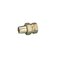 Pettinaroli Radiator connection straight 1/2" – kuva 1