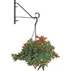 Besk-kukkaruukun pidike 9039397, 30,5 cm, maalattu metalli, seinään kiinnitettävä, ruuvikiinnitys