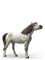 Schleich Knabstrupper Gelding – kuva 4