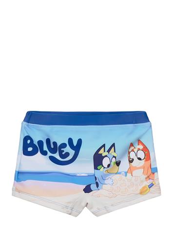 Bluey Swimwear - Blue - 116