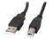 Lanberg - USB cable - USB to USB Type B - 5 m – kuva 5