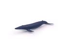 Papo Blue whale calf, 3 vuosi/vuosia, Marine life, Sininen, PVC-muovi