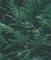 thumb95019804
