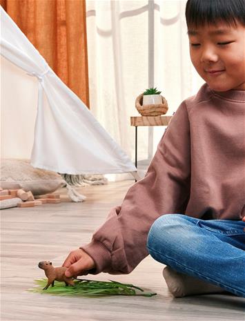 Schleich Capybara