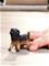 Schleich German Shepherd puppy – kuva 5