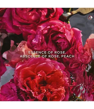 GUERLAIN Aqua Allegoria Rosa Rossa Forte Eau de Parfum 200 ml