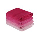 Hobby pyyhesetti Rainbow, 4 kpl