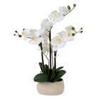 Home4you Wind In Garden orkidea tekokasvi H55cm