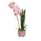 Home4you Orchid Garden Queen H70cm tekokukka