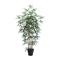 Home4you Wind Bamboo tekopuu – kuva 1