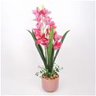 Home4you Orchid GARDEN QUEEN H70cm orkidea