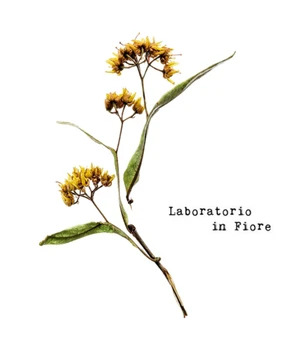 Laboratorio Olfattivo Tiglio Mirabilis Eau de Parfum 100 ml