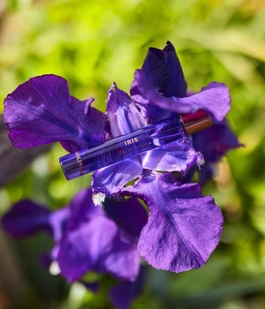 MOLINARD Les Elements Iris Eau de Parfum 8 ml