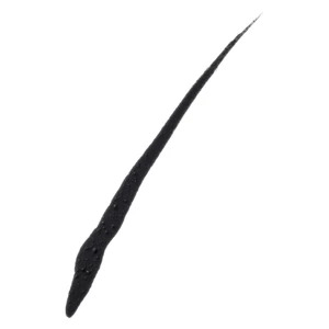 Maybelline Master Ink Matte Waterproof Eyeliner 2.5 ml Black