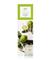 ipuro Essentials lime light Huonetuoksu 100 ml – kuva 8