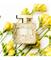 Oscar de la Renta Bella Essence Eau de Parfum 100 ml – kuva 8
