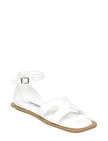 Steve Madden Slinder - Black - 41 – kuva 4/6