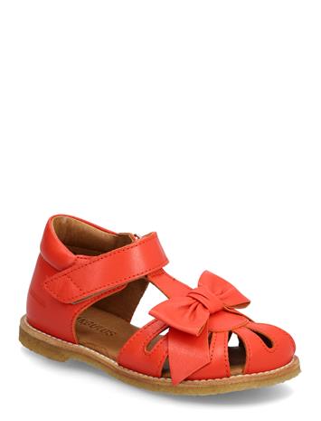 ANGULUS Sandals - Flat - Closed Toe - Pink - 25