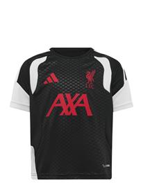 adidas Performance Lfc Tr Jsyy - Black - 176