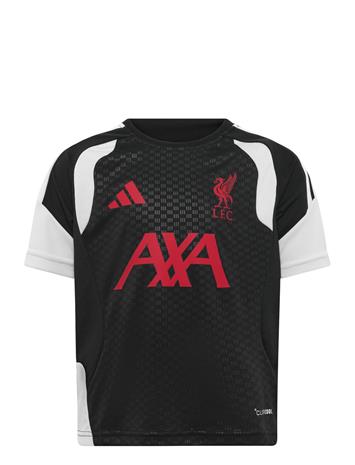 adidas Performance Lfc Tr Jsyy - Black - 176