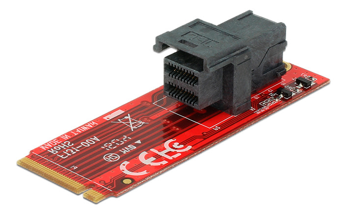 DeLOCK - Interface Adapter - SAS 12Gb/s - M.2 Card