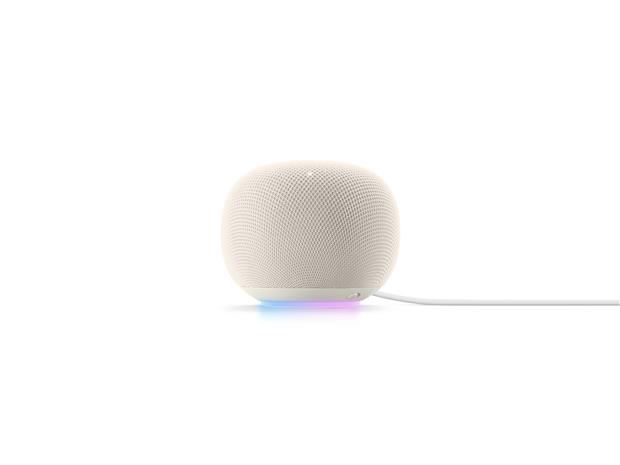 Google Home Speaker - Porcelain