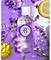Roger & Gallet Lavande Royale Eau Fraiche 100 ml – kuva 8