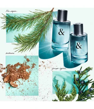 Tiffany & Co. & Love for Him - EdT 90 ml