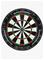 Bex Sport Catdart Champion Bristle – kuva 3