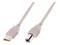 DIGITUS ASSMANN - USB cable - USB Type B to USB - 3 m – kuva 2