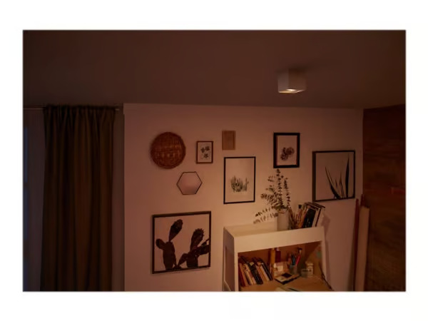 Philips BOX single spot white 1x4.5W SELV