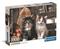 Clementoni Lovely Kittens (1000) – kuva 5