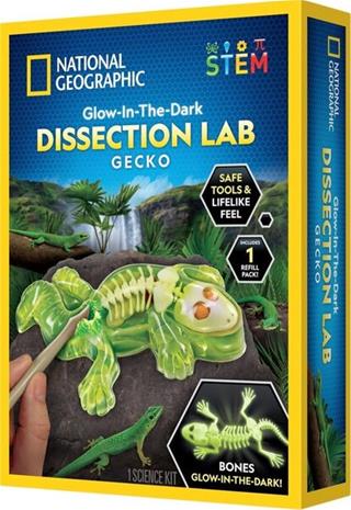 National Geographic Gecko Dissection Lab